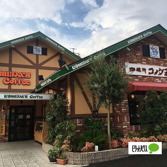コメダ珈琲店天白土原店：590m