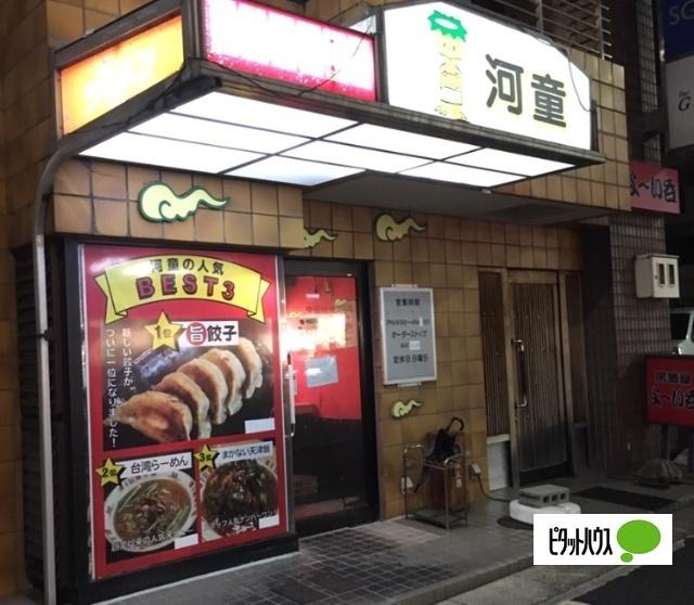 中国料理河童：84m