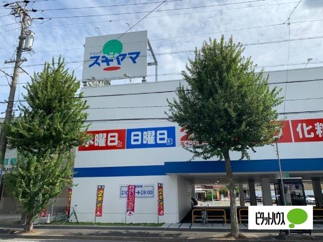 ドラッグスギヤマ平子店：620m