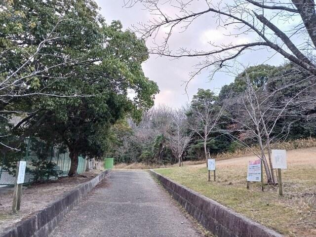 愛の緑公園：503m