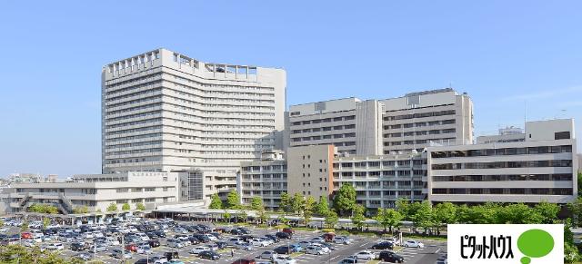 名古屋市立大学：711m