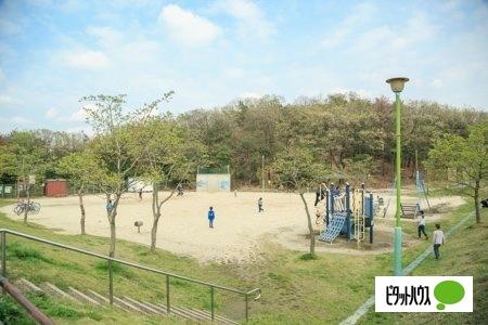 島田緑地：657m