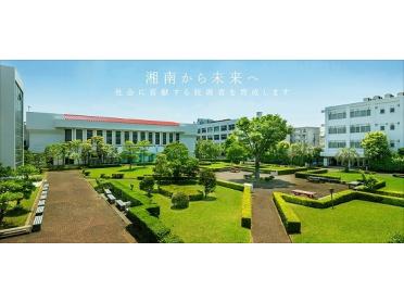 私立湘南工科大学：971m