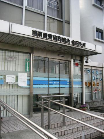 JA湘南金田支所：573m