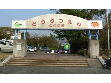 徳山動物園：700m