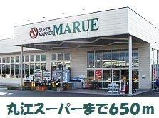 丸江スーパーエコー店：650m
