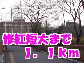 修紅短大：1100m
