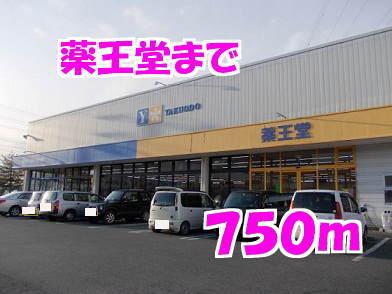 薬王堂：750m