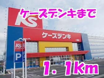 ケーズデンキ：1100m