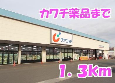 カワチ薬品：1300m