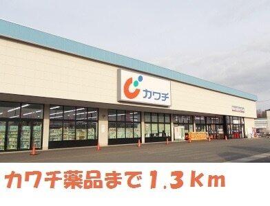 カワチ薬品一関店：1300m