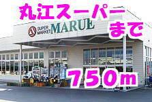 丸江スーパー：750m