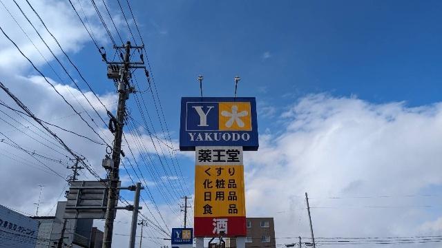 薬王堂一関青葉店：591m