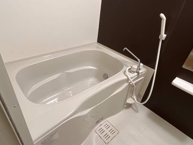 サウザンドリーフⅡ 部屋画像