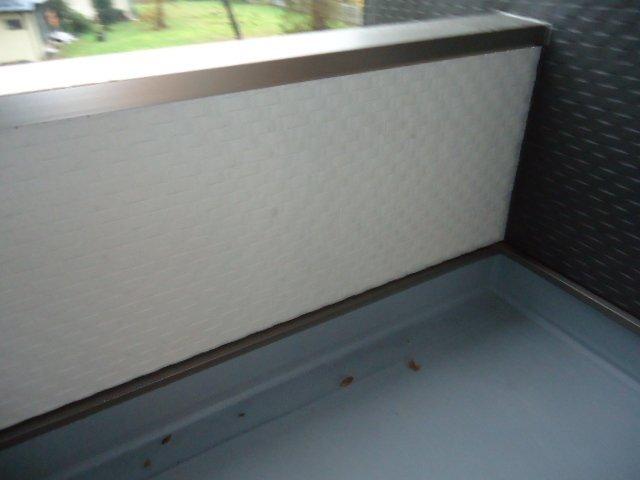 クラッシモ 部屋画像