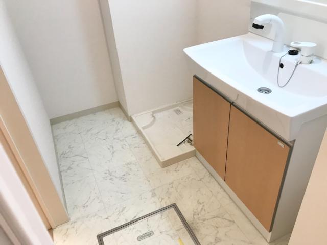 メゾンみずほ 洗面