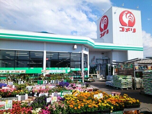 コメリハード＆グリーン志波姫店：1000m