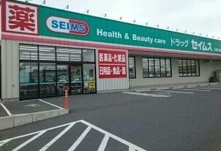 セイムス石巻大街道店：180m