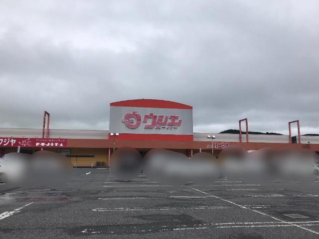 ウジエスーパー飯野川店：258m