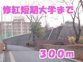 修紅短期大学：300m