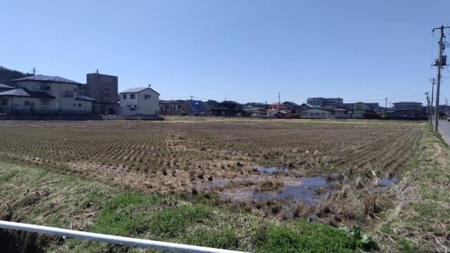 土地1
