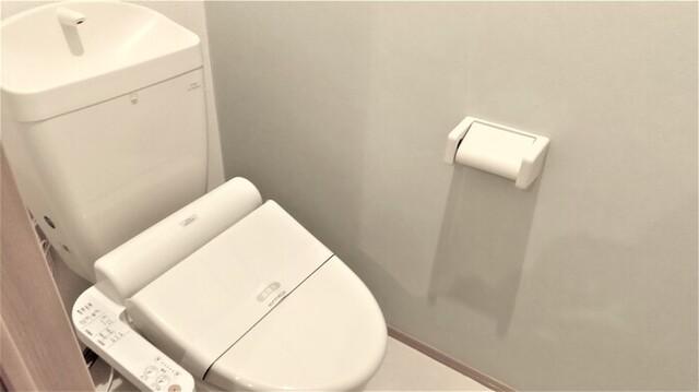 Ｄ−ｒｏｏｍ白石西（205） トイレ