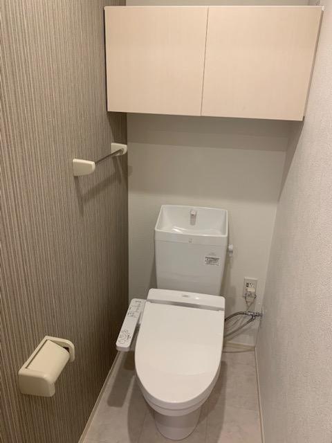 Ｄ−ｒｏｏｍ木町通（306） トイレ