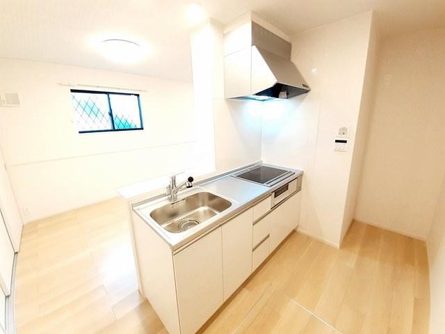 サンスベリア（105） キッチン