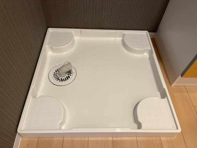 ブロッサム・ヒロ その他
