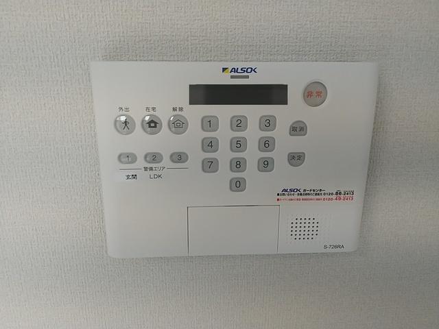 Ｄ−ＲＯＯＭ柏木３丁目（301） 部屋画像