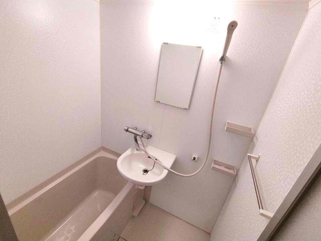 メゾンセノーテ（502） 部屋画像