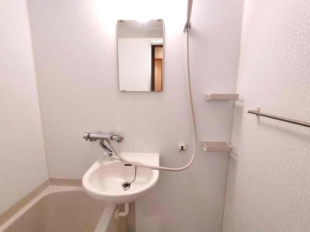 メゾンセノーテ（502） 部屋画像