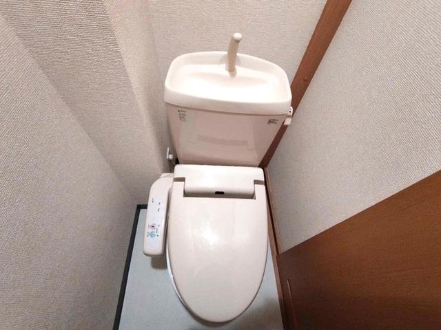 メゾンセノーテ（502） トイレ