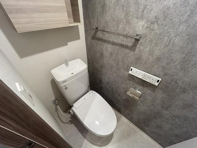 Ｄ−ＲＯＯＭ 大和町（302） トイレ