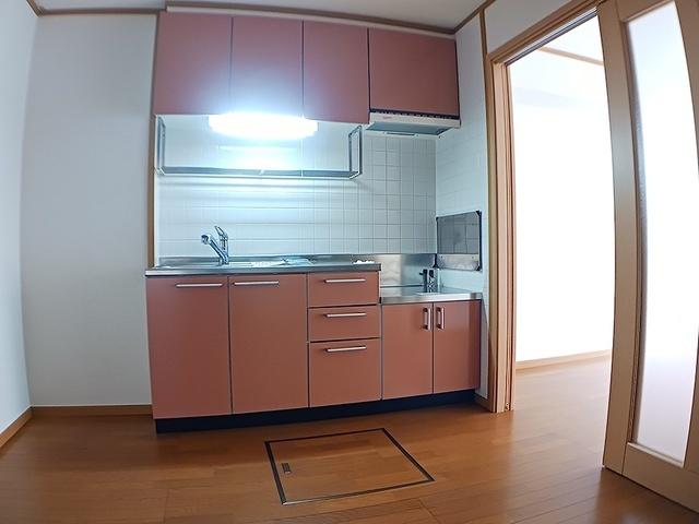 サンリット　グローブＡ棟（102） キッチン