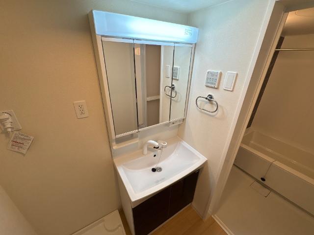 ＢＬＯＯＭ　ＣＯＵＲＴ　ＳＨＩＮＭＥＩ 洗面