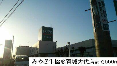 みやぎ生協多賀城大代店：550m