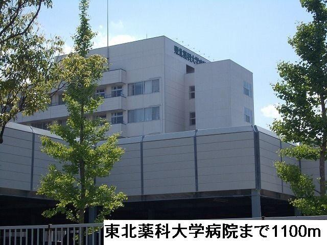 東北薬科大学病院：1100m
