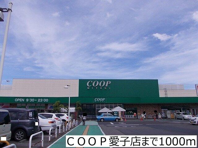 ＣＯＯＰ愛子店：1000m