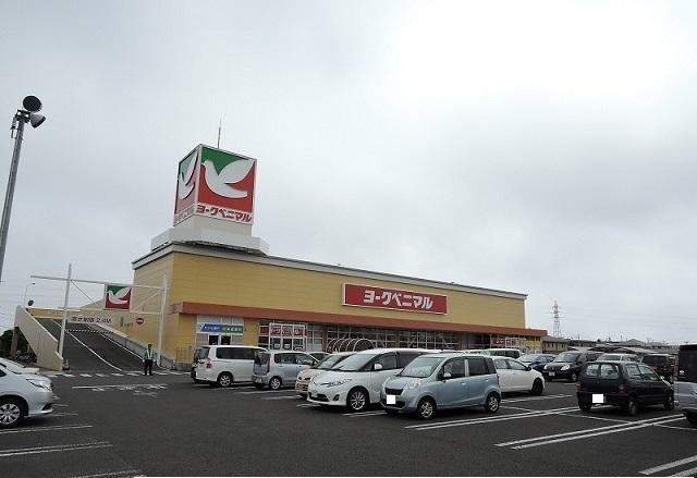 ヨークベニマル遠見塚店：1100m
