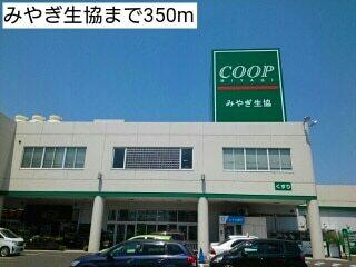 みやぎ生協：350m