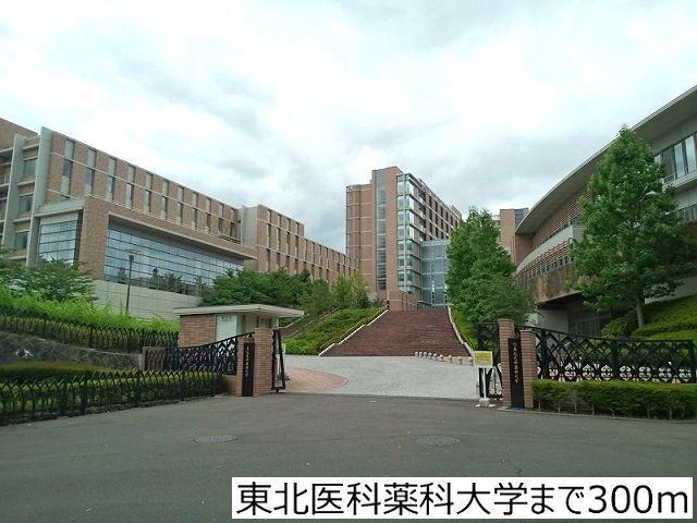 東北医科薬科大学：300m