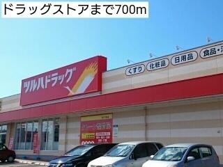 ドラッグストア：700m
