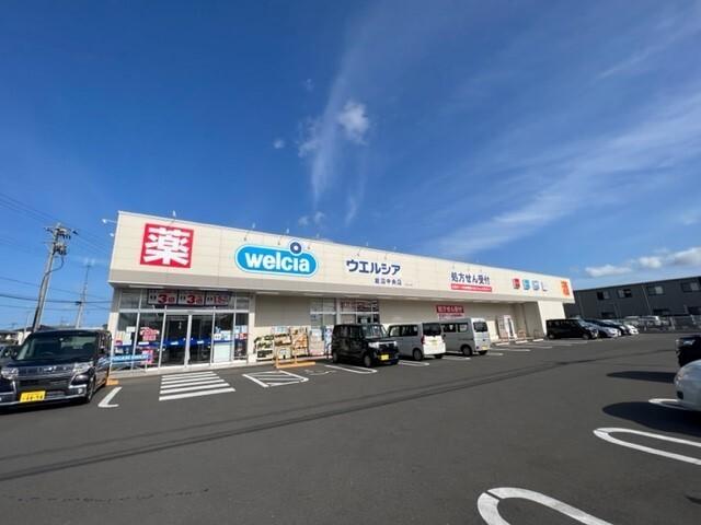 ウェルシア岩沼中央店：600m