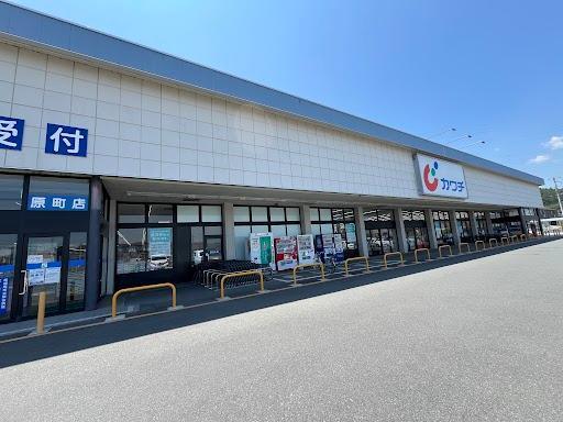 カワチ薬品原町店：367m