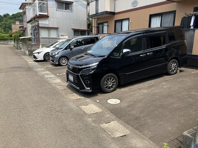 シュロス（101） その他