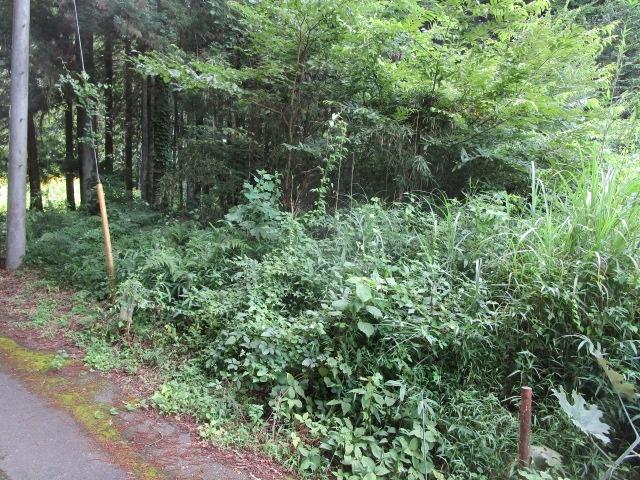 土地1