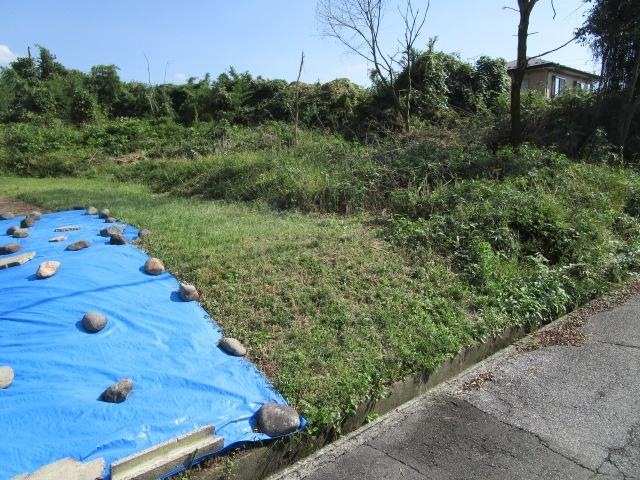土地1