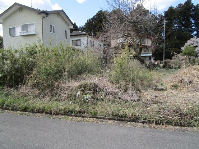 土地1