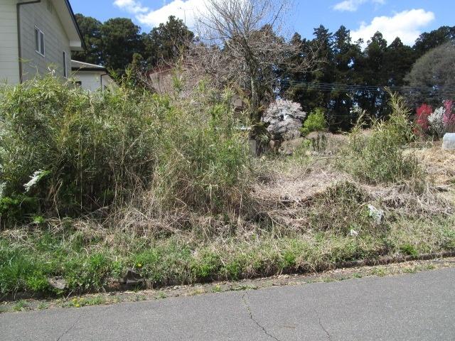 土地2
